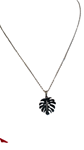 Collar de acero con Hoja de Helecho