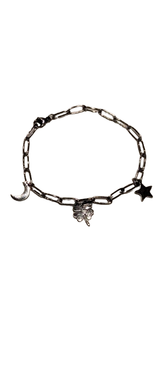 Pulsera de Acero Tobillera